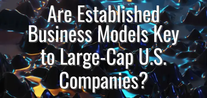 Are Established Business Models Key to Large-Cap U.S. Companies?